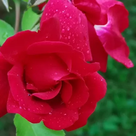 Seepension Smoley Guest house Villach