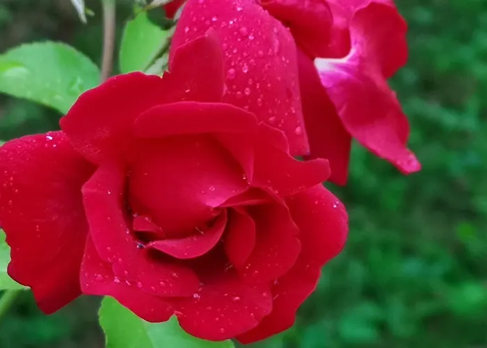 Seepension Smoley Pensionat Villach